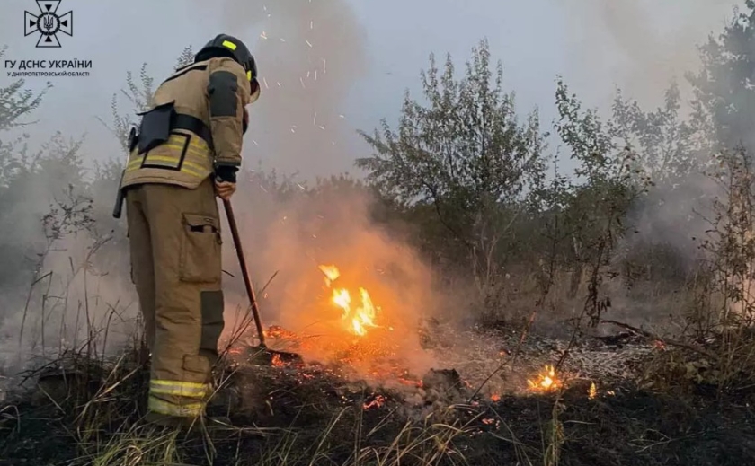 На Дніпропетровщині протягом доби вогнеборці ліквідували 50 пожеж в екосистемах