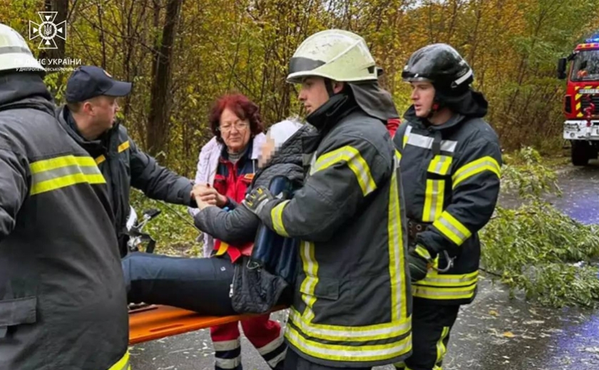 Зʼїхала з дороги та зіткнулася з деревом: надзвичайники Дніпровського району врятували 70-річну водійку Renault