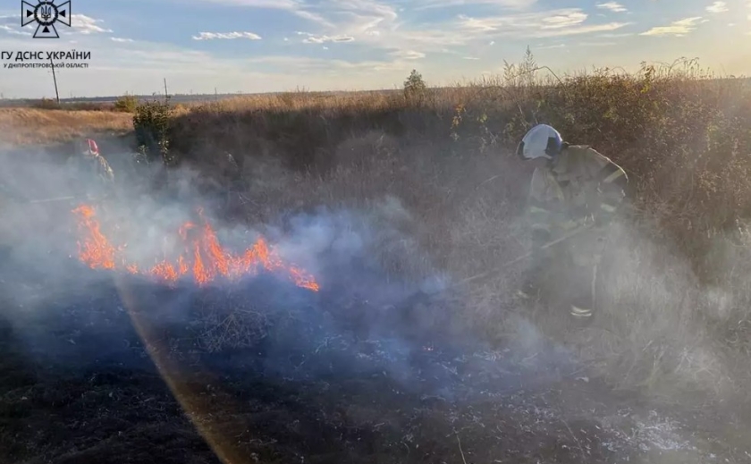 За добу вогнеборці Дніпропетровщини ліквідували 29 займань в екосистемах
