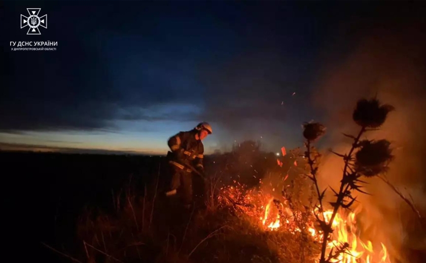 За добу вогнеборці Дніпропетровщини ліквідували 29 пожеж в екосистемах