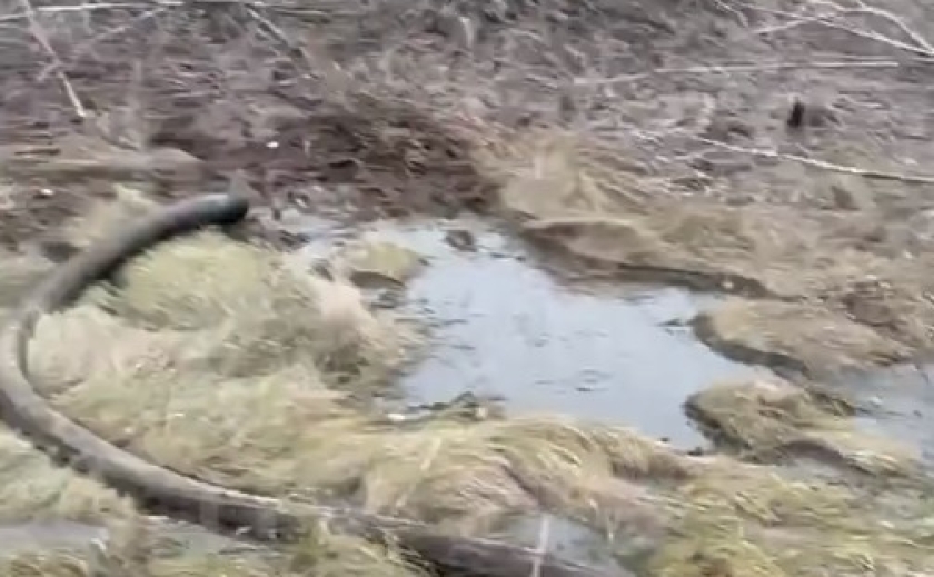Зливав відходи неподалік ферми: на Дніпропетровщині водний патруль виявив водія-порушника