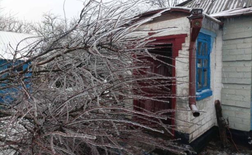 На Дніпропетровщині працівник поліції врятував 83-річну жінку, на будинок якої впало заледеніле дерево