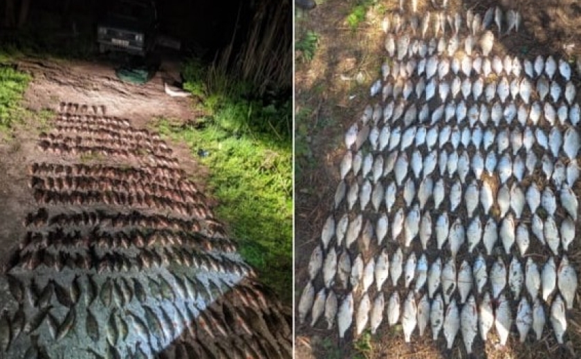 Понад 25 мільйонів гривень збитків за рік: рибоохоронний патруль Дніпропетровщини виявляє порушників