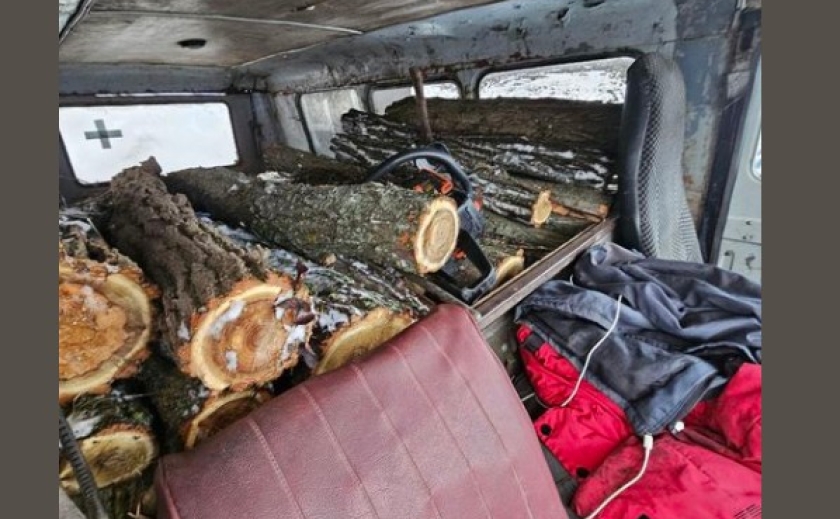 Перевозили деревину без дозвільних документів: патрульні Дніпропетровщини затримали правопорушників