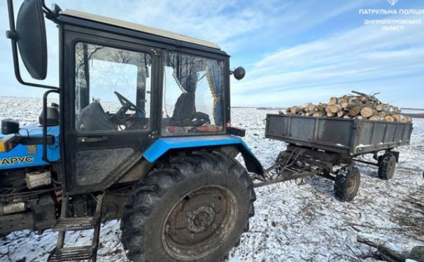 Патрульні Дніпра виявили громадян, які спилювали дерева без дозвільних документів