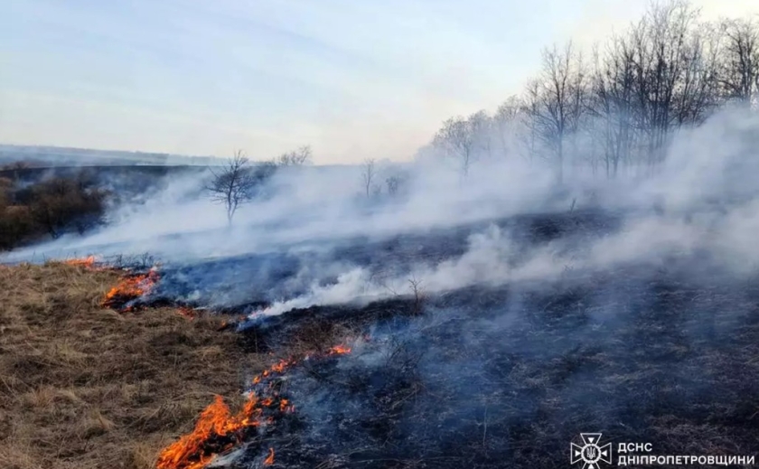 Рятувальники Дніпропетровщини продовжують боротися з пожежами в екосистемах