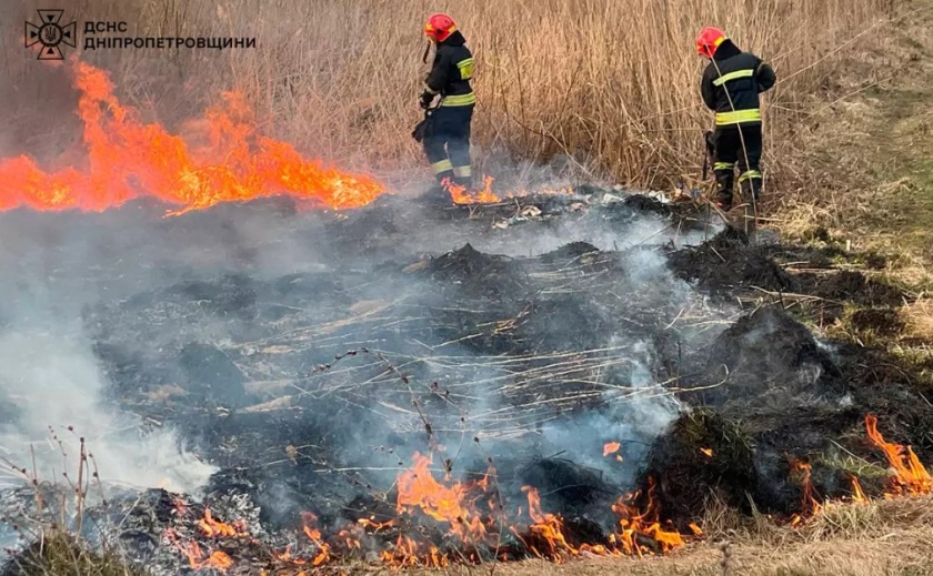 За минулу добу рятувальники ліквідували 58 пожеж в екосистемі та притягнули до адміністративної відповідальності 29 паліїв