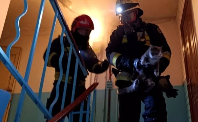 У Дніпрі під час ліквідації пожежі надзвичайники врятували 2 людини і кота
