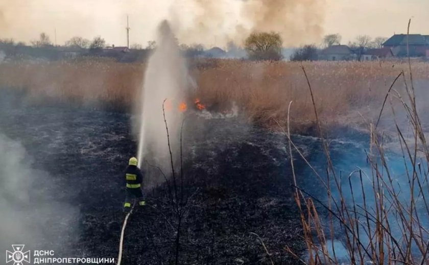 Горів очерет на відкритій території: у Дніпрі рятувальники ліквідували масштабну пожежу в екосистемі