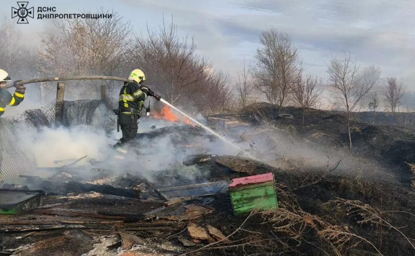 На Дніпропетровщині протягом доби вогонь знищив понад 60 га природних екосистем