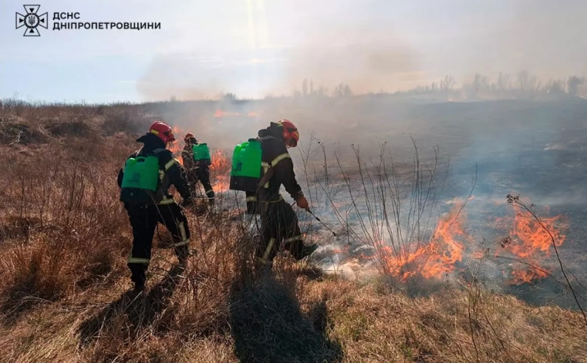 65 загорянь за добу: вогнеборці Дніпропетровщини приборкують пожежі в екосистемі