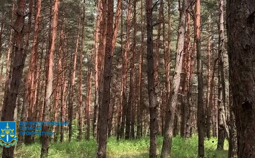 На Дніпропетровщині за втручання прокуратури державі повернуто землі лісового фонду вартістю 86 млн грн