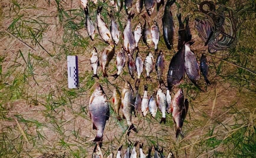 Поліцейські Дніпра задокументували факт незаконного вилову риби