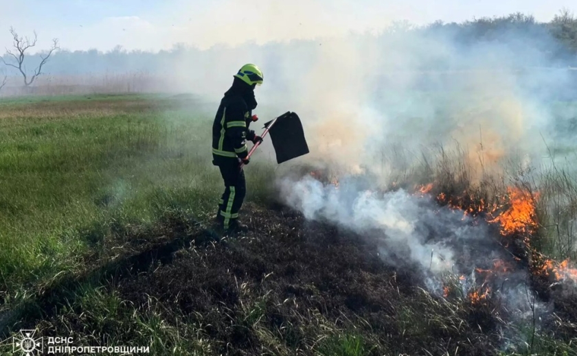 30 пожеж за добу: рятувальники Дніпропетровщини продовжують боротися з пожежами в екосистемах