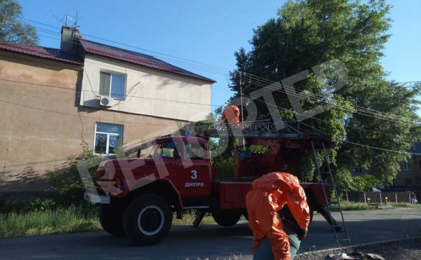 Днепряне отказываются от меда