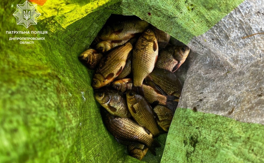 Виловлював рибу сіткою під час нерестової заборони — у Дніпровському районі виявили порушника