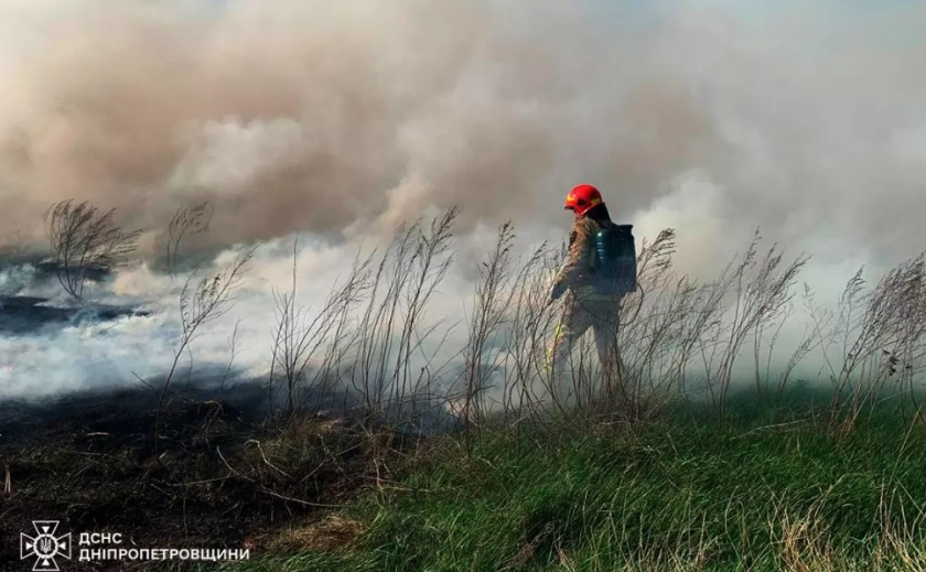 22 загорання за добу: на Дніпропетровщині продовжують невпинно боротися з пожежами в екосистемах