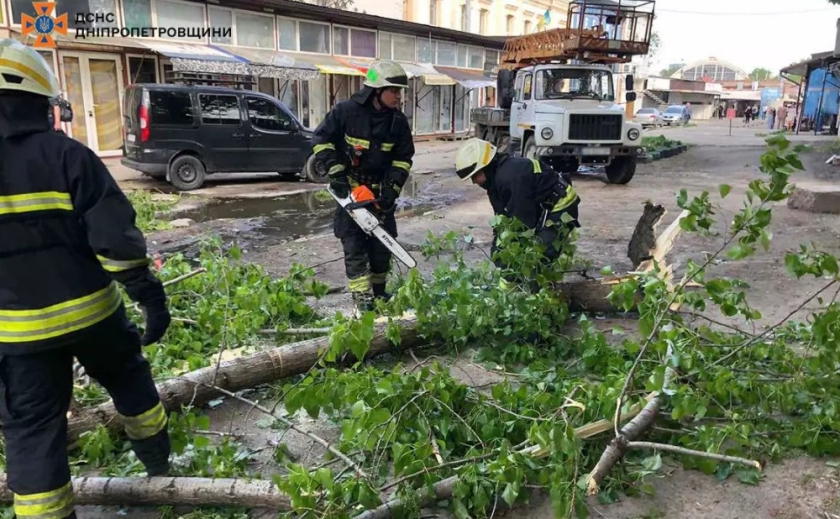 У Центральному районі Дніпра дерево впало на проїжджу частину та обірвало електродроти