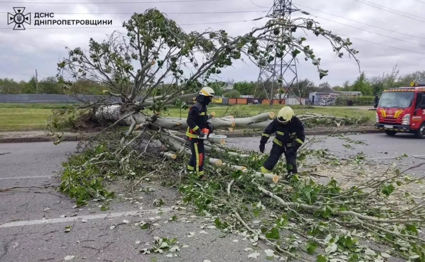 Повалені дерева, заблоковані дороги: на Дніпропетровщині надзвичайники ліквідовують наслідки негоди