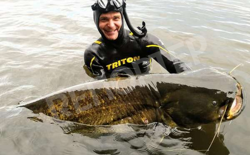 Опубликованы рекорды днепровских рыболовов: сом-гигант и мощный толстолобик