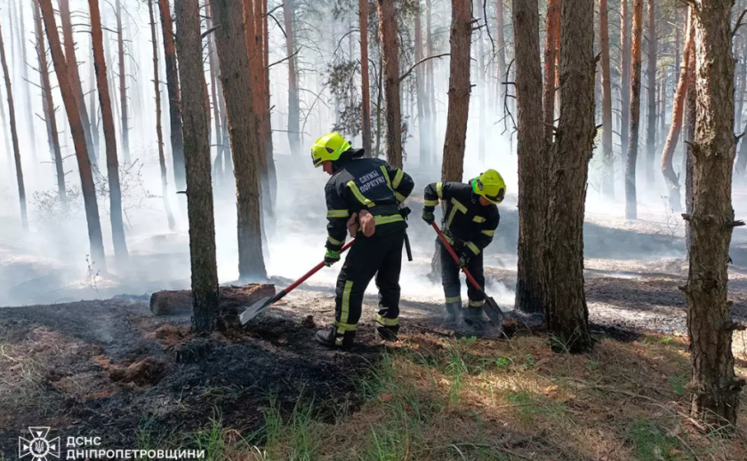 У Дніпровському районі загасили пожежу у хвойному лісі