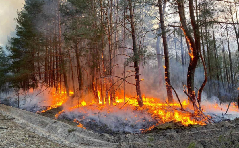 На Дніпропетровщині оголосили надзвичайну пожежну небезпеку п’ятого класу