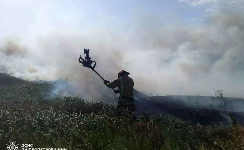 На Дніпропетровщині впродовж доби виникло 50 загорань на відкритих територіях