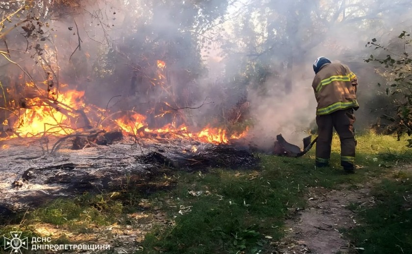 Вогнеборці Дніпропетровщини ліквідували 76 пожеж в екосистемах