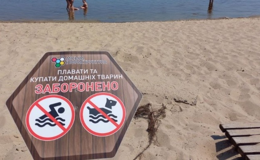 На двох пляжах Дніпра виявили холероподібний вібріон На двох пляжах Дніпра виявили холероподібний вібріон