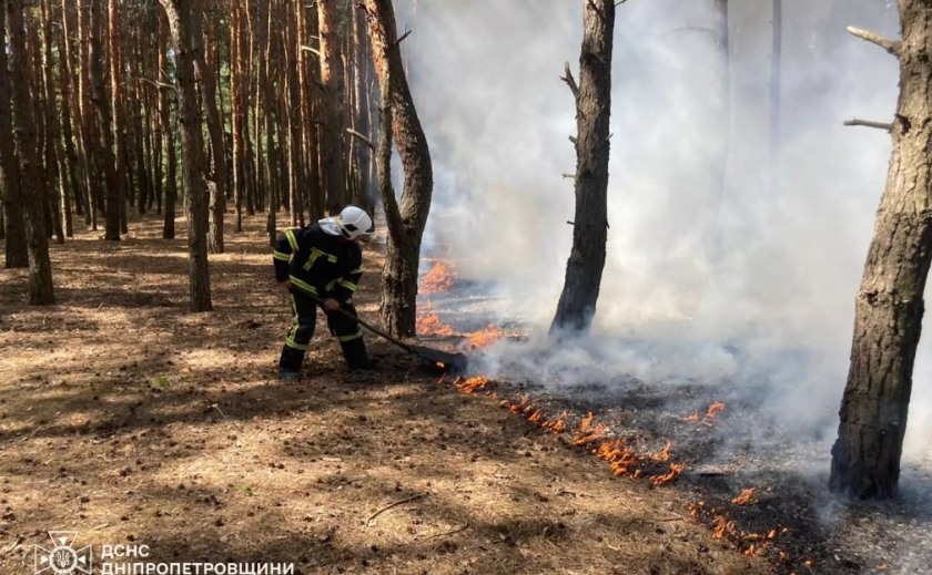Рятувальники Дніпропетровщини ліквідували 81 пожежу в екосистемах