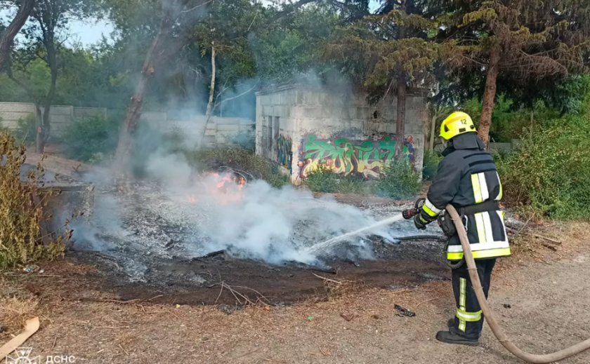 Вогнеборці Дніпропетровщини ліквідували 25 пожеж у природних екосистемах