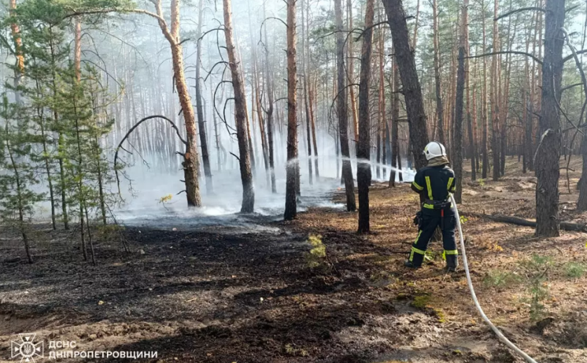 На Дніпропетровщині протягом доби вогнеборці ліквідували 56 пожеж в екосистемах