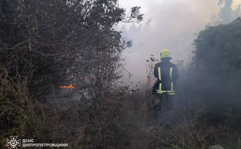 На Дніпропетровщині протягом доби надзвичайники ліквідували 97 пожеж в екосистемах