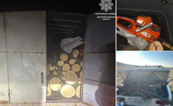 Незаконно вирубували зелені насадження: патрульні Дніпра затримали правопорушників