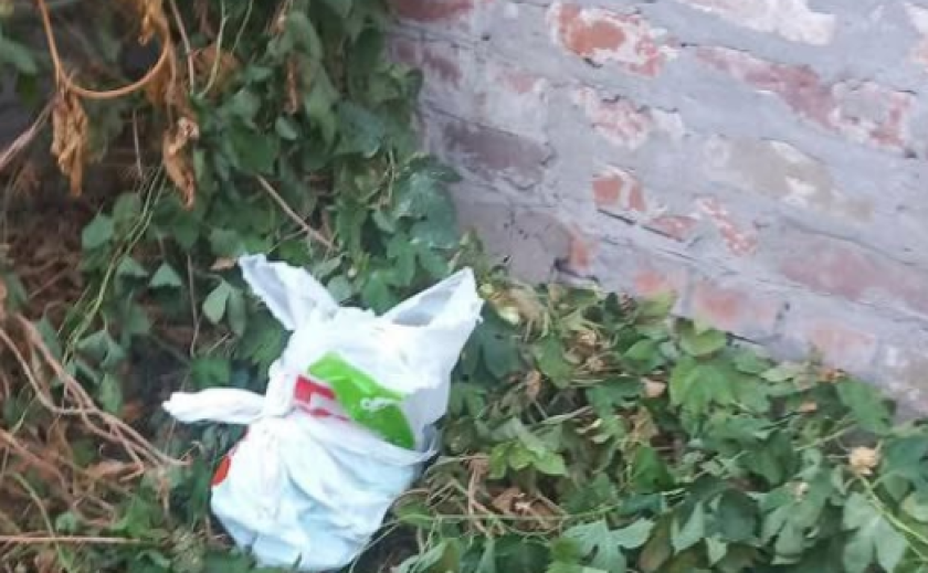 У Дніпрі жінка знайшла пакет із гранатами