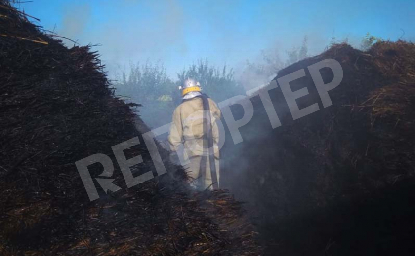 Как днепровские пожарные боролись с деревенским апокалипсисом