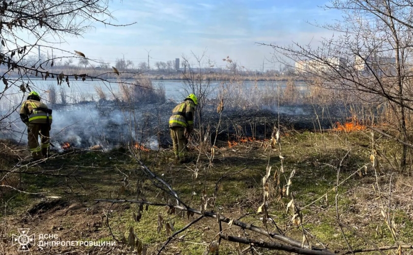 На Дніпропетровщині за добу ліквідовано 71 пожежу в екосистемах На Дніпропетровщині за добу ліквідовано 71 пожежу в екосистемах