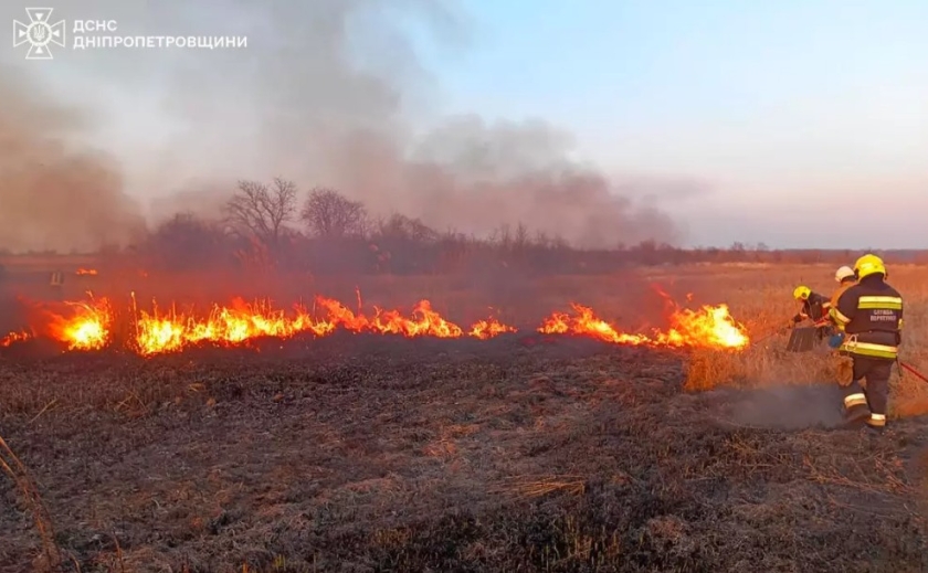 На Дніпропетровщині протягом доби ліквідували 67 пожеж в екосистемах