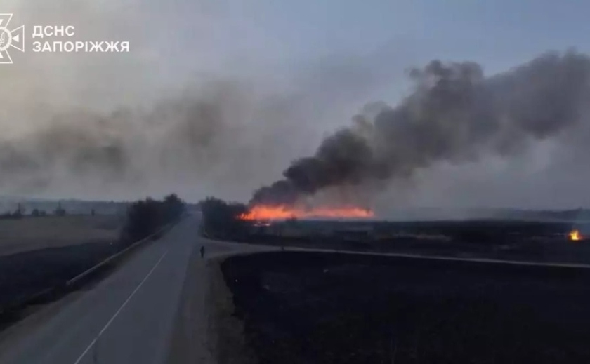 За минулу добу рятувальники ліквідували 11 пожеж в екосистемах Запорізької області