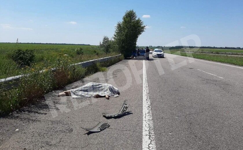 В ДТП под Днепром погиб сотрудник полиции