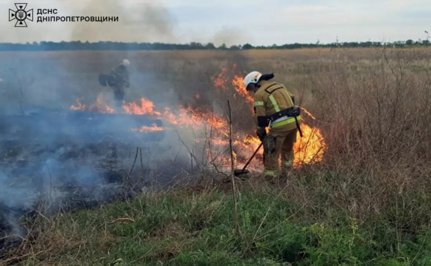 11 гектарів за добу: вогнеборці ліквідували пожежі в екосистемах 11 гектарів за добу: вогнеборці ліквідували пожежі в екосистемах
