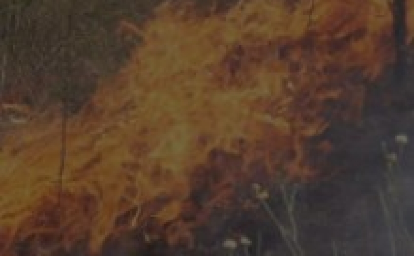 Масштабна пожежа в одному з районів запоріжжя: горіла суха трава на загальній площі 1 га Масштабна пожежа в одному з районів запоріжжя: горіла суха трава на загальній площі 1 га