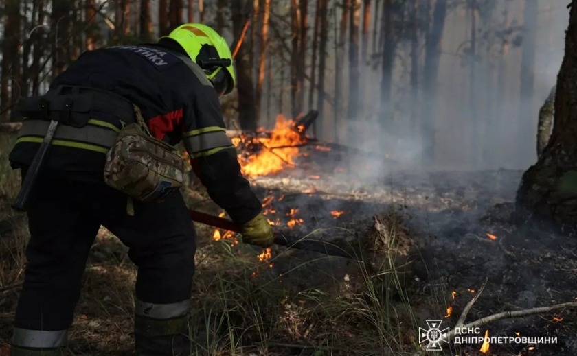 Дніпровський район: надзвичайники ліквідували лісову пожежу