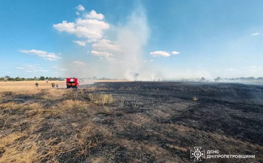Надзвичайники ліквідовували пожежі в екосистемах Дніпропетровщини