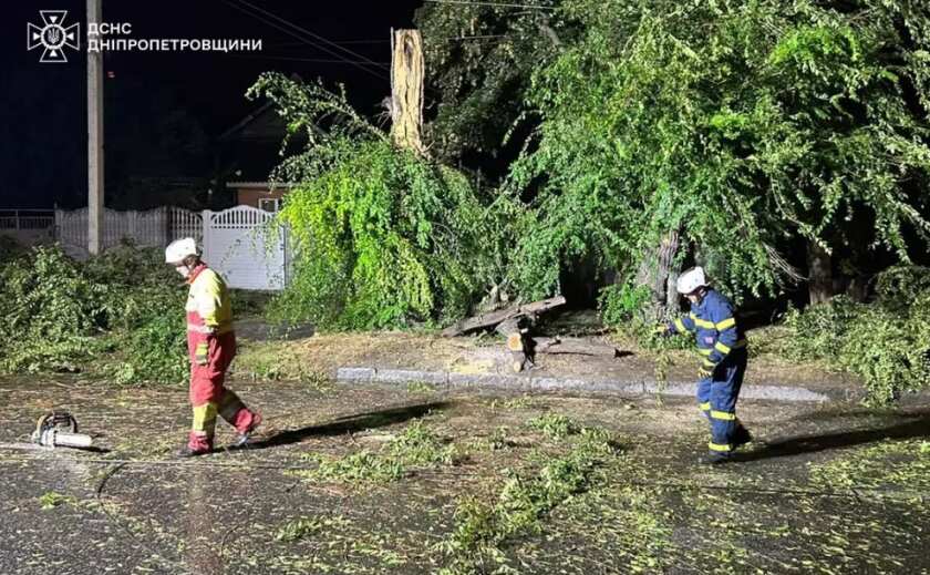 У Дніпрі надзвичайники ліквідували наслідки негоди