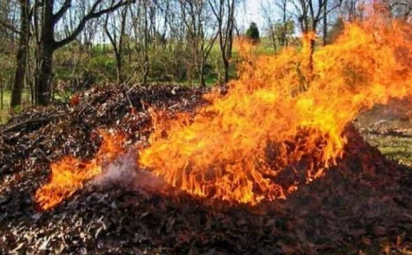 Великі штрафи та навіть в’язниця: чим загрожує українцям спалювання листя та сухої трави