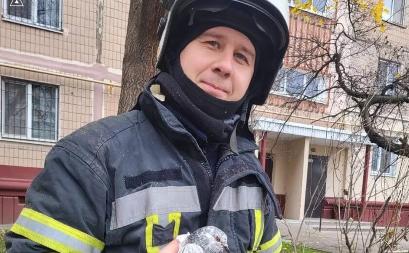 Надзвичайники врятували голуба, який заплутався у рибальській волосіні