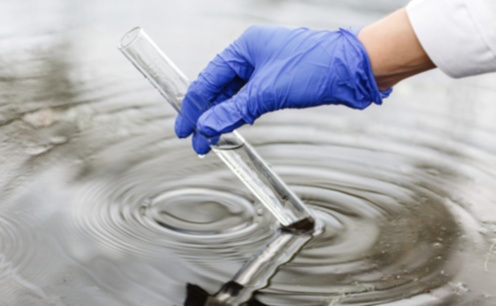 Екологічна загроза в Дніпрі: зафіксовано погіршення якості води у міських водоймах