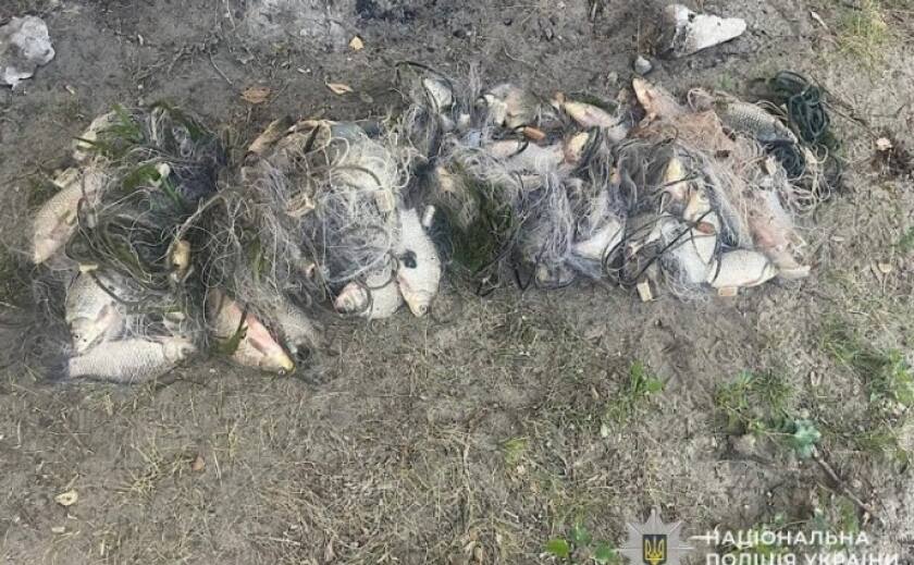 Понад 100 тисяч гривень збитків: на Дніпропетровщині дізнавачі повідомили про підозру браконьєру