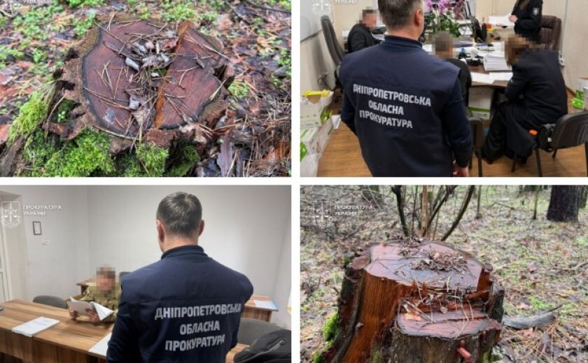 22 млн грн збитків через незаконну порубку лісів природно-заповідного фонду: на Дніпропетровщині посадовцям ДП «Ліси України» повідомлено про підозру